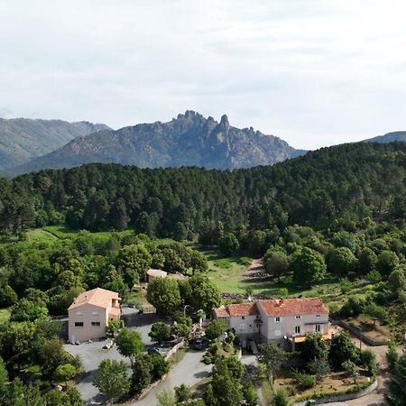 Les Hauts De Cavanello Zonza Exteriér fotografie